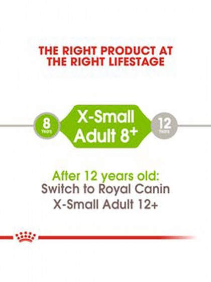 SHN XSMALL ADULT 8+_web4